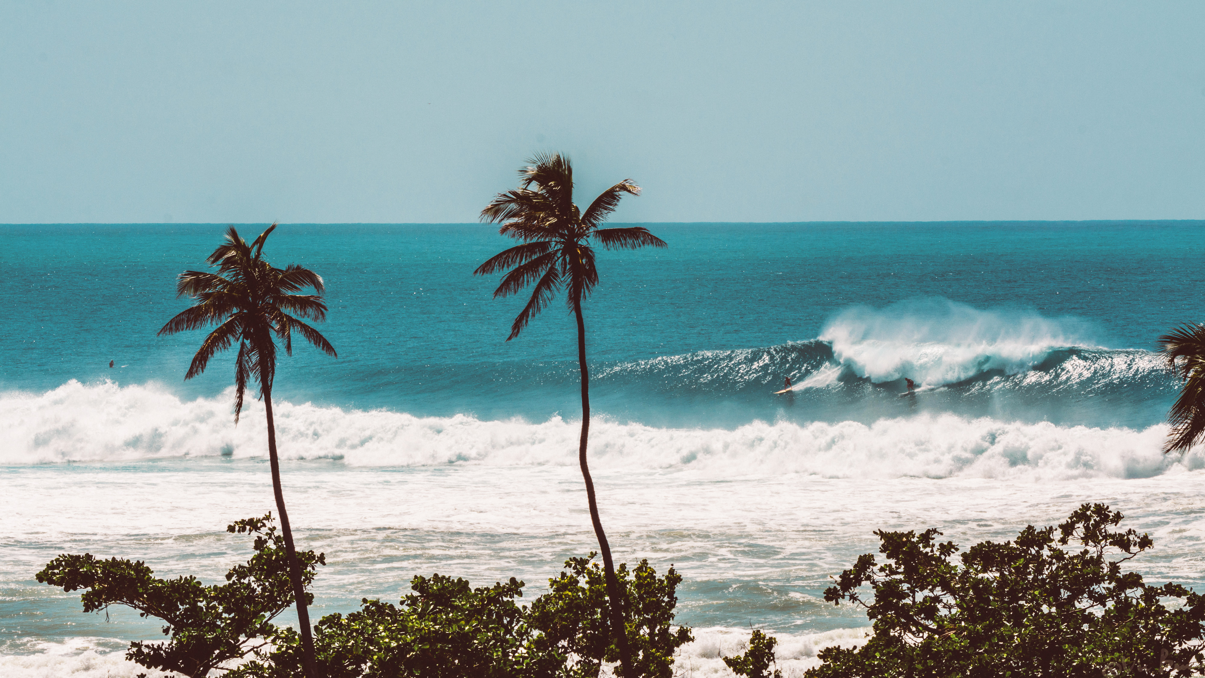 best surfing in caribbean for beginners