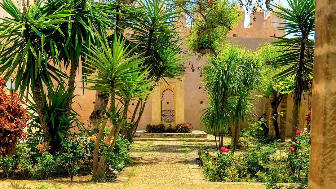 A garden in Rabat.