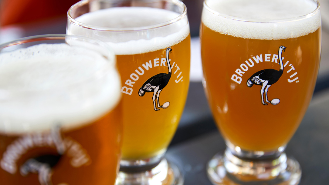 A close up of beer.