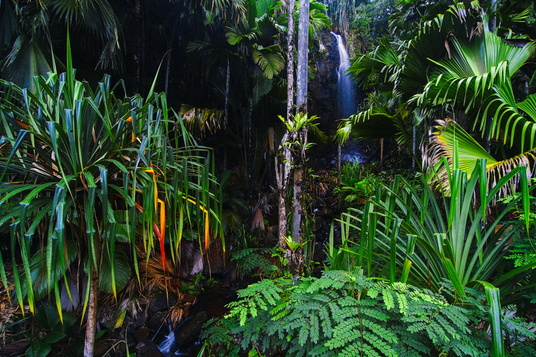 A water fall on the Seychelles.