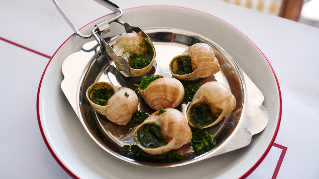 Snails in Bouillon Pigalle.