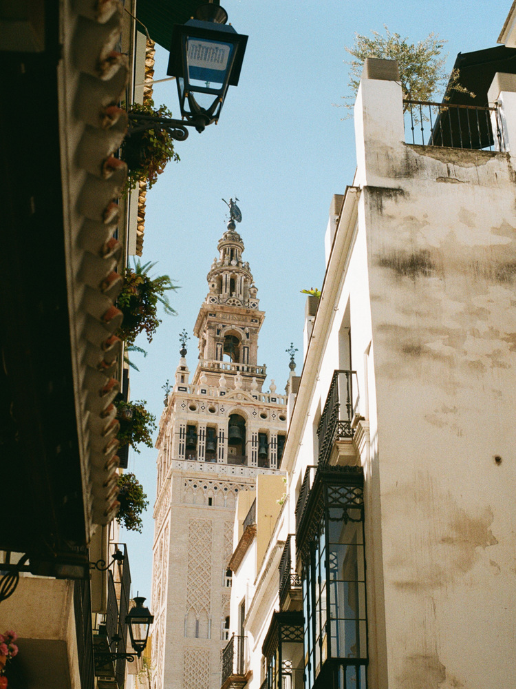 Looking up at Seville Cathedral tower.