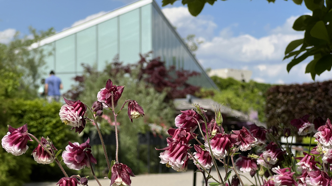 A building in the Toronto Botanical Gardens.