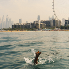 A person diving into the sea in Dubai.