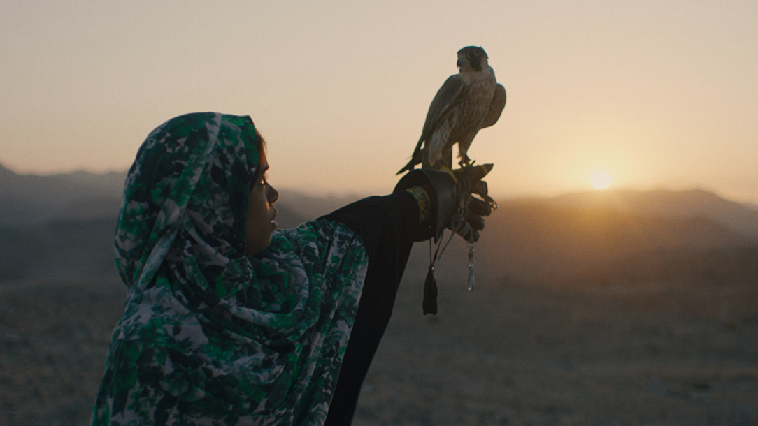 A still from the film 'The Falconer'.