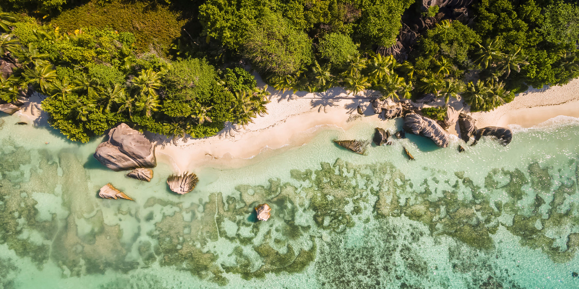 An aerial view of a beach in the Seychelles.