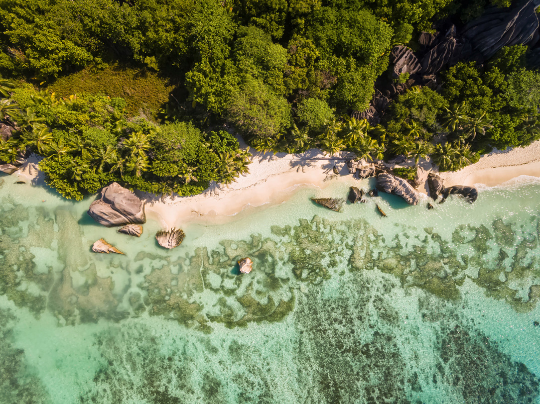 An aerial view of a beach in the Seychelles.